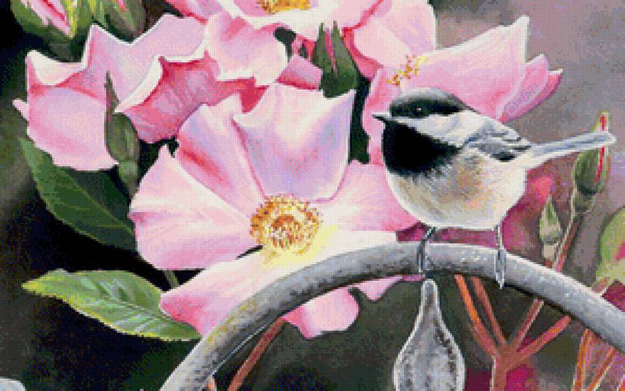 синица - предпросмотр