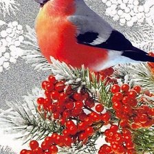 Схема вышивки «зимнее утро, снегири»