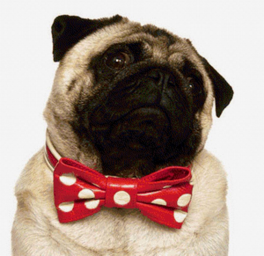 Джентельмен 2 - предпросмотр