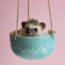 Схема вышивки «Ежичек»