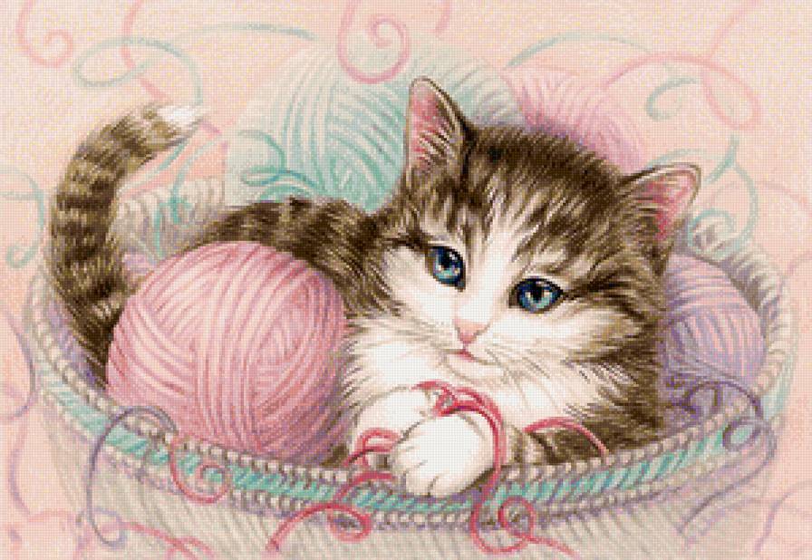 котик - животные, коты - предпросмотр