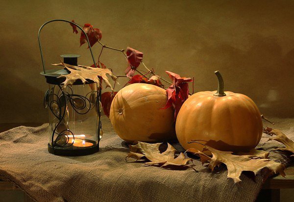 Тыквы - оригинал