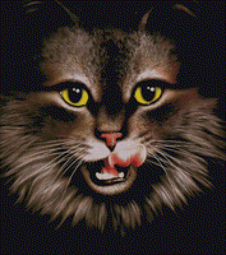 кошка - кошки - предпросмотр