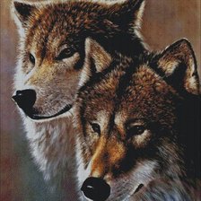 Схема вышивки «пара»