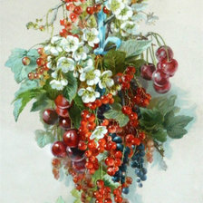 Схема вышивки «вишня»