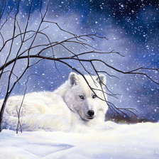 Схема вышивки «волчица»