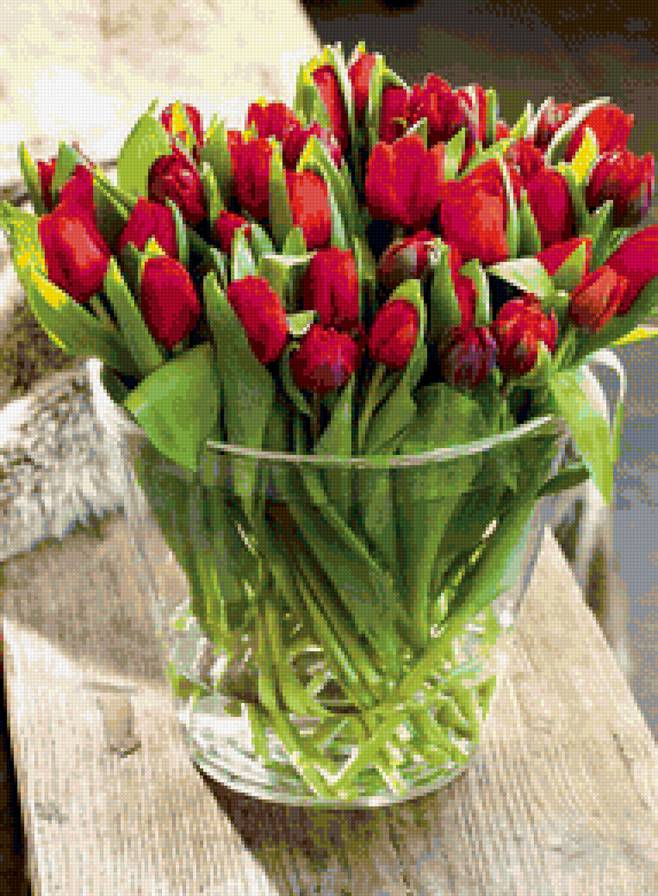 тюльпаны - тюльпаны, цветы - предпросмотр