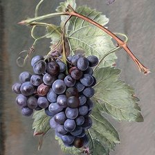 Схема вышивки «№1115403»