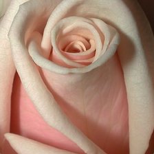 Схема вышивки «№1115406»