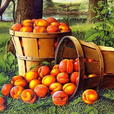 Схема вышивки «Натюрморт»