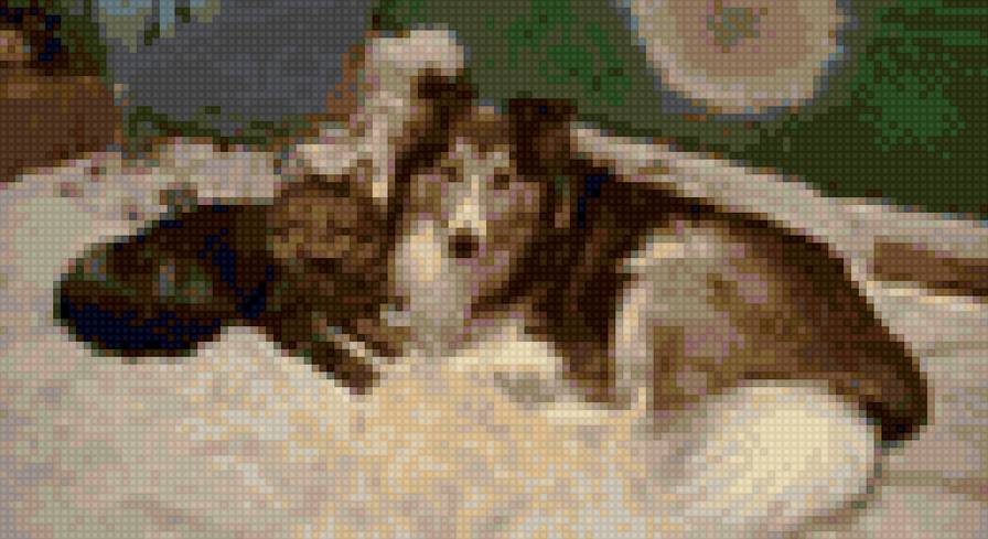 зверье мое - предпросмотр