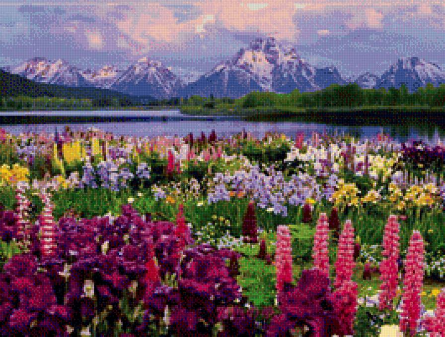 Долина цветов, Индия - пейзаж, цветы, горы - предпросмотр