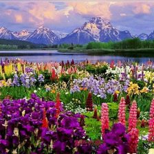 Долина цветов, Индия