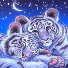Схема вышивки «Тигрята»