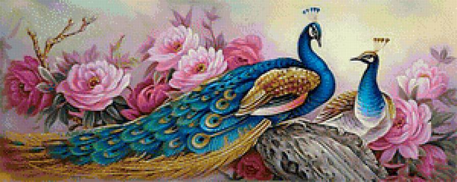 павлины - розы, птицы, цветы, павлины, животные - предпросмотр