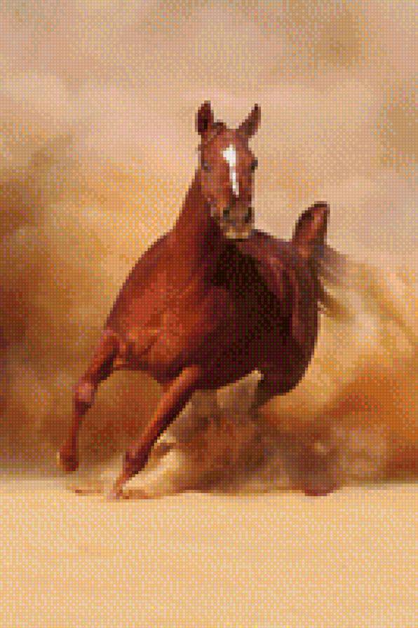 Арабская лошадь - лошади, животные - предпросмотр