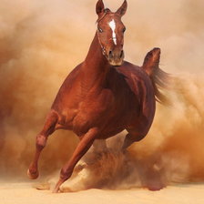 Схема вышивки «Арабская лошадь»