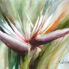 Схема вышивки «акварель Фабио Сембранелли»