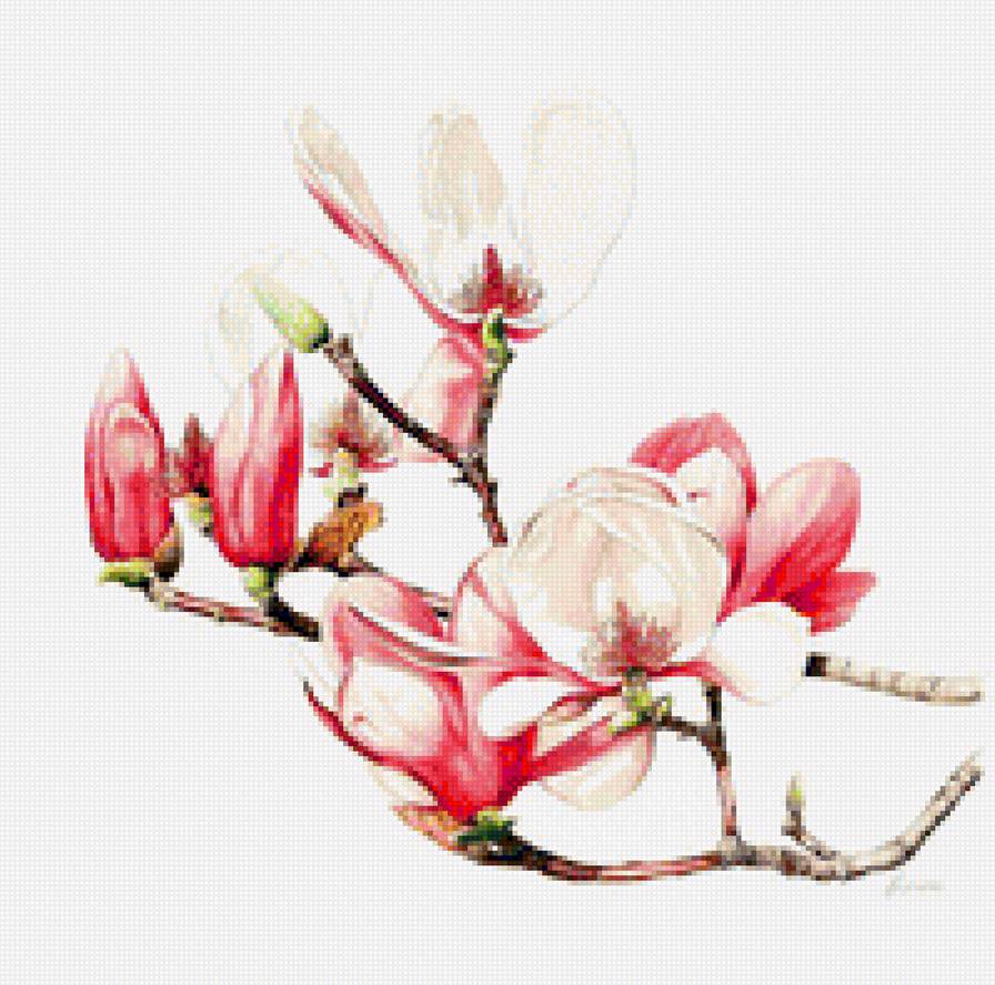 цветы1 - цветы - предпросмотр