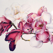 Схема вышивки «цветы 3»