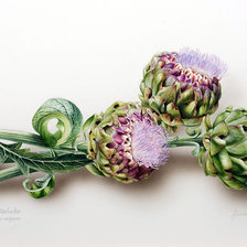 Схема вышивки «артишок»