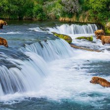 Схема вышивки «Медведи на охоте»