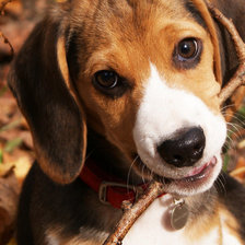 Схема вышивки «№1118303»