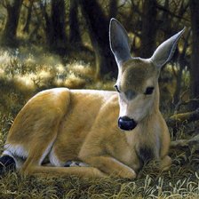 Схема вышивки «Оленёнок.»