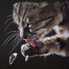 Схема вышивки «Удачная охота.»