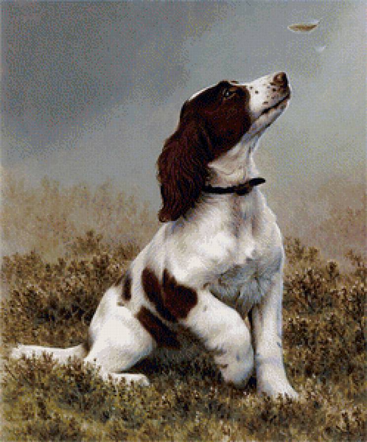 Первая охота. - туман, щенок, перья, охота, собака - предпросмотр