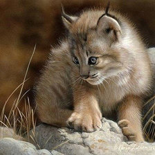 Схема вышивки «Рыська.»