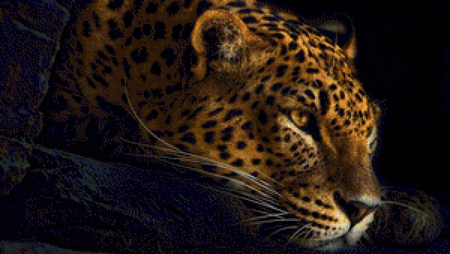 леопард - кошки, животные, хищники - предпросмотр