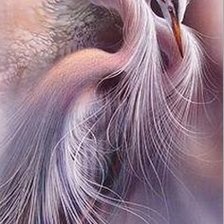 Схема вышивки «Журавли»