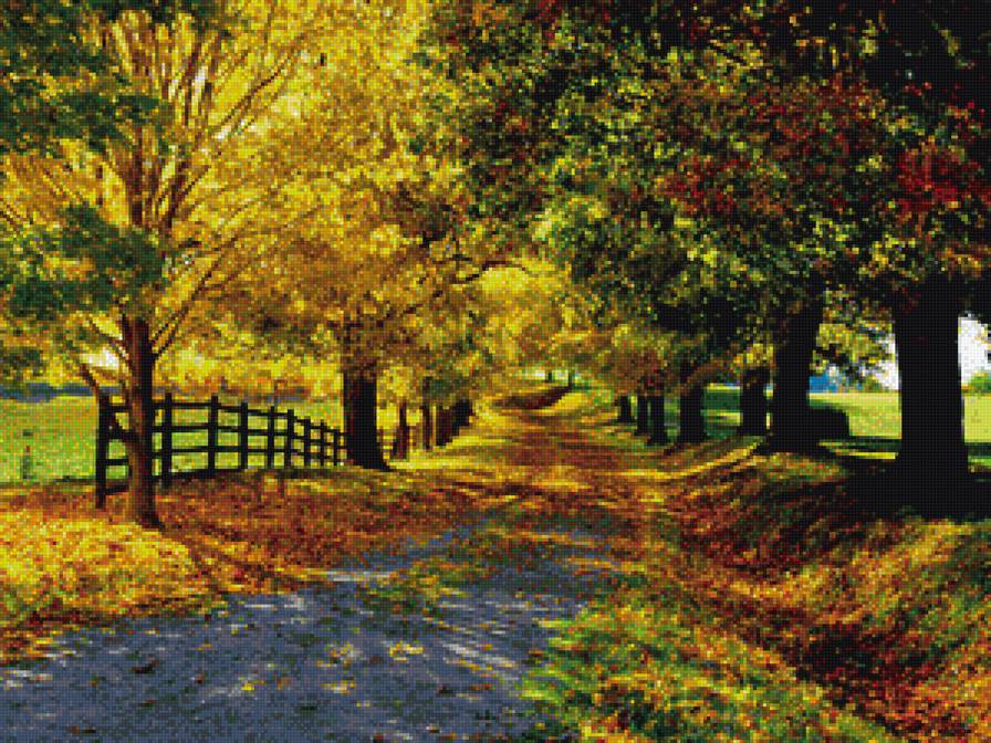 осень - времена года - предпросмотр