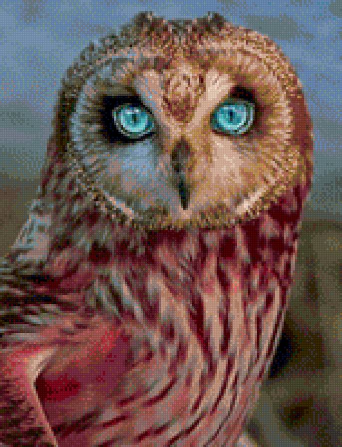 Совушка - предпросмотр