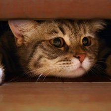 Схема вышивки «№1118796»