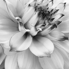 Схема вышивки «№1118898»