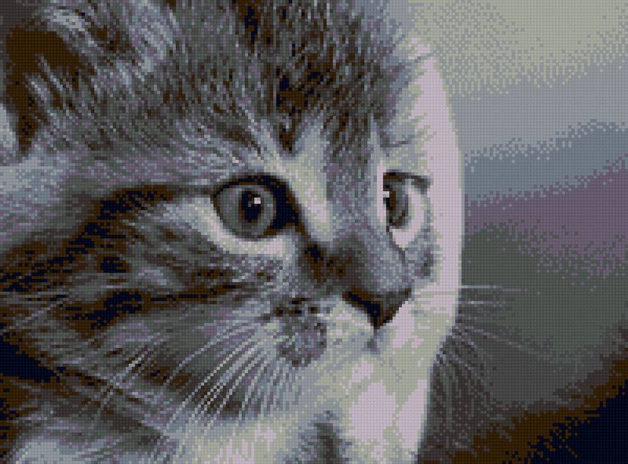 Котик - коты, животные - предпросмотр