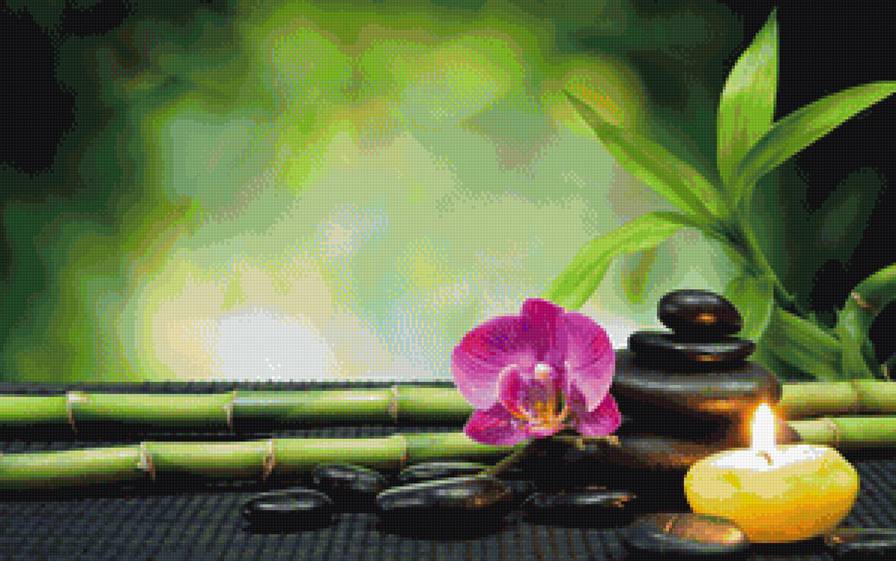 орхидея - камни, орхидея, свеча, бамбук, цветы - предпросмотр