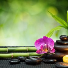 Схема вышивки «орхидея»