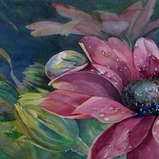 Схема вышивки «цветы»