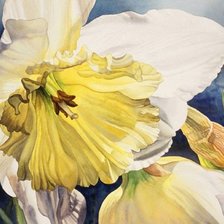 Схема вышивки «нарцис»