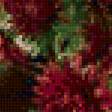 Предпросмотр схемы вышивки «бордовые хризантемы» (№1119378)