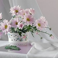 Схема вышивки «нежность хризантем»