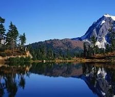 Схема вышивки «природа1»