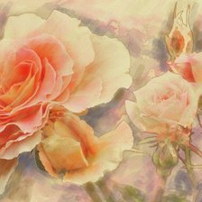 Схема вышивки «роза»