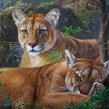 Схема вышивки «мир животных»