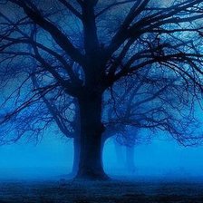 Схема вышивки «Синий лес»