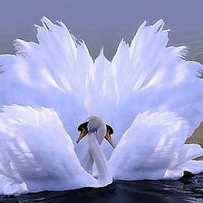 Схема вышивки «№1120127»