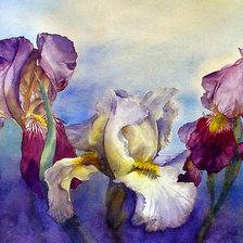 Схема вышивки «ирисы»